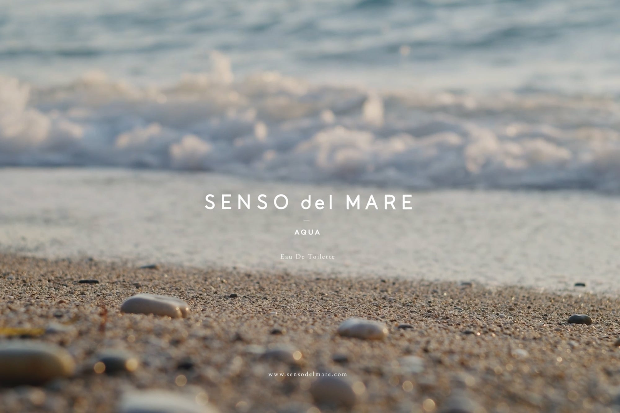 AQUA EAU DE TOILETTE 在庫について