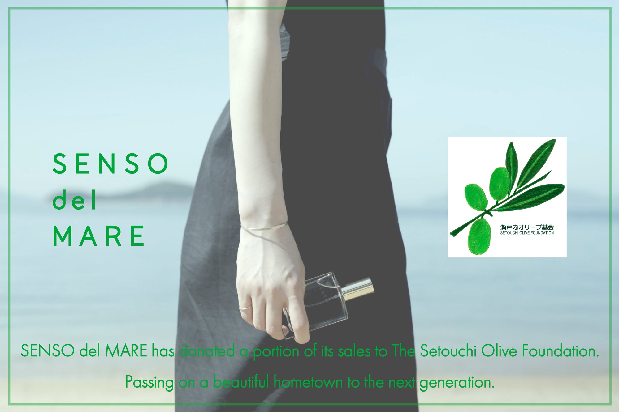 Setouchi Olive Foundation / 寄付のご報告
